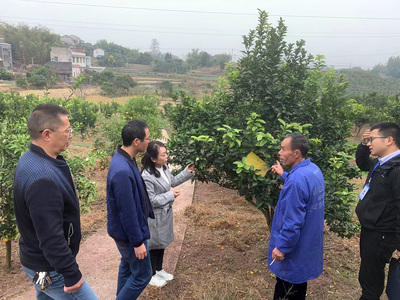 自貢市農業農村局 - 自貢市政府網站集約化平臺